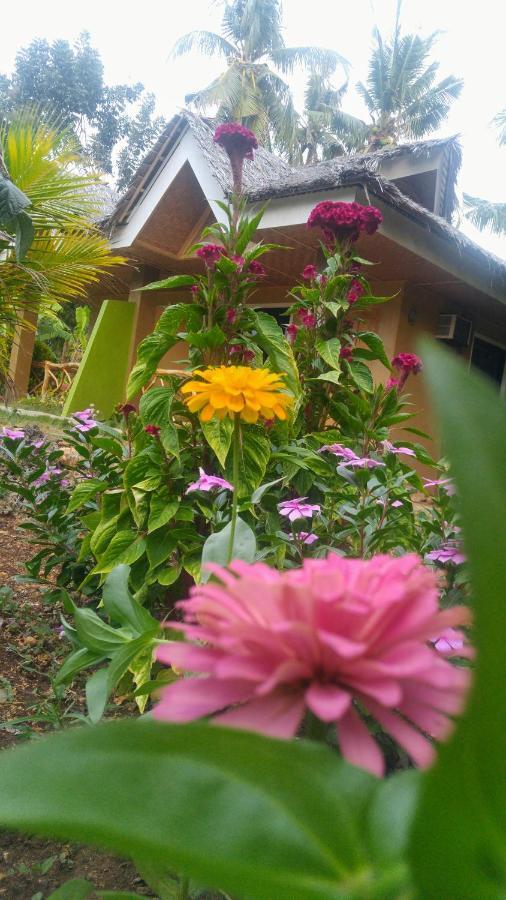 Miki'S Guest House Siquijor Εξωτερικό φωτογραφία